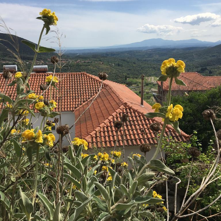 Guesthouse Lykourgos Mavrommation Luaran gambar