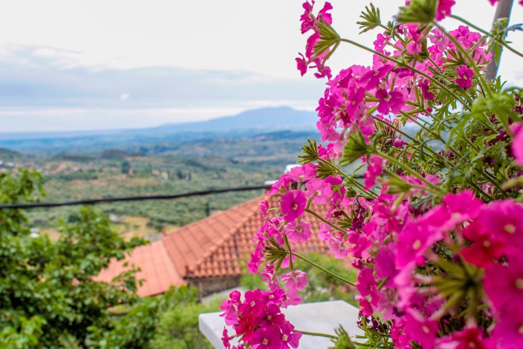 Guesthouse Lykourgos Mavrommation Luaran gambar